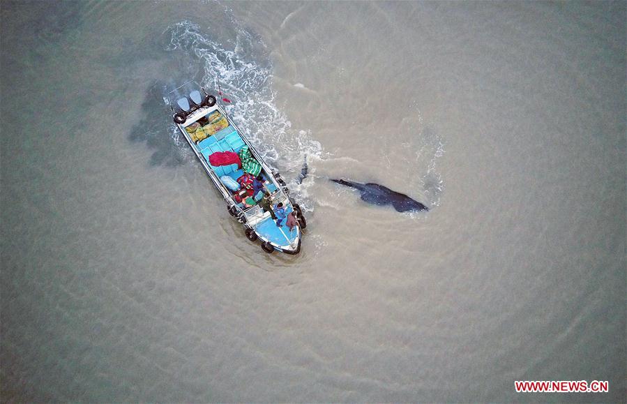XINHUA-PICTURES OF THE YEAR 2017-CHINA 