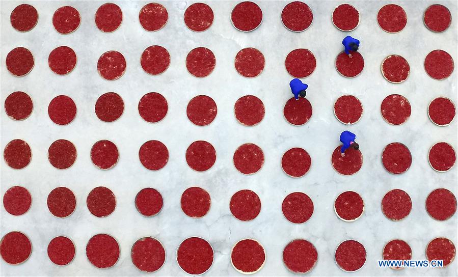 CHINA-JIANGXI-FENGXIN-RURAL ENTREPRENEURSHIP STORY