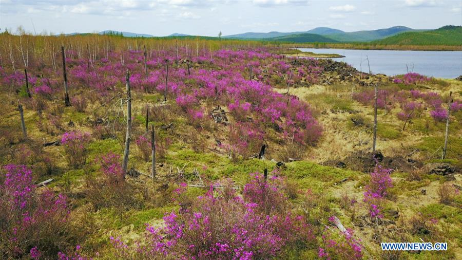 CHINA-INNER MONGOLIA-ARXAN-SCENERY (CN)