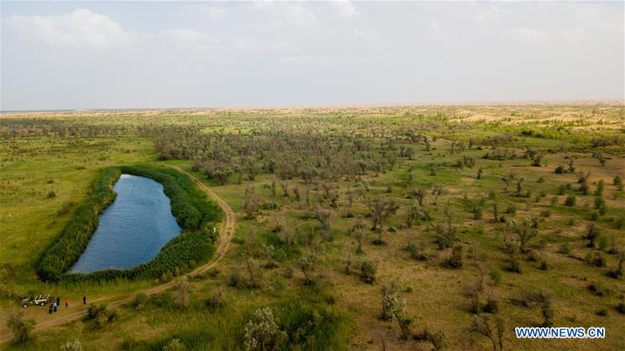 CHINA-INNER MONGOLIA-KUBUQI-DESERT CONTROL-TECHNOLOGY INNOVATION (CN)