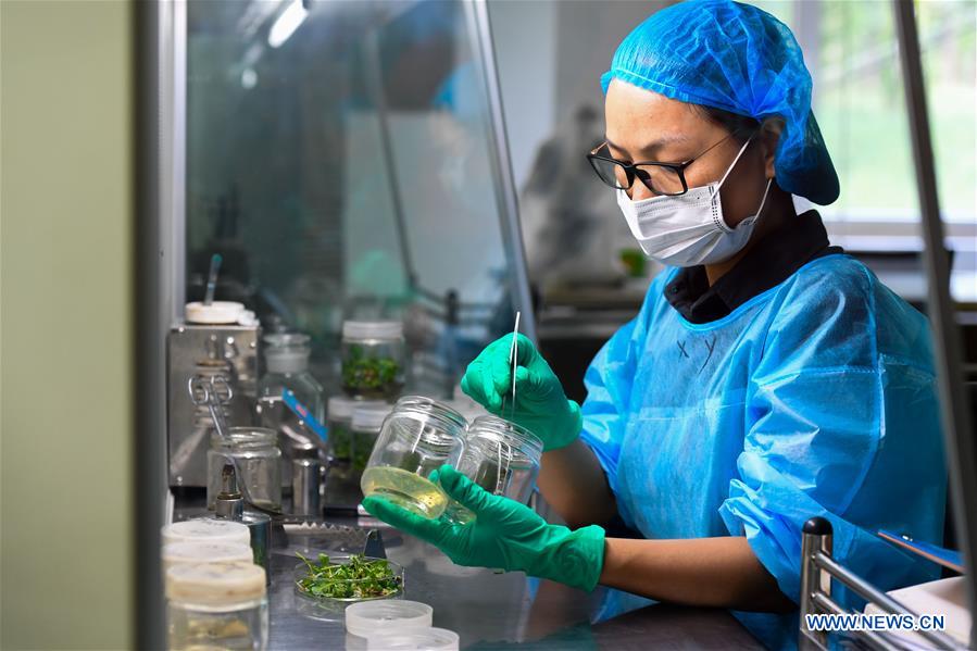 CHINA-INNER MONGOLIA-KUBUQI-DESERT CONTROL-TECHNOLOGY INNOVATION (CN)