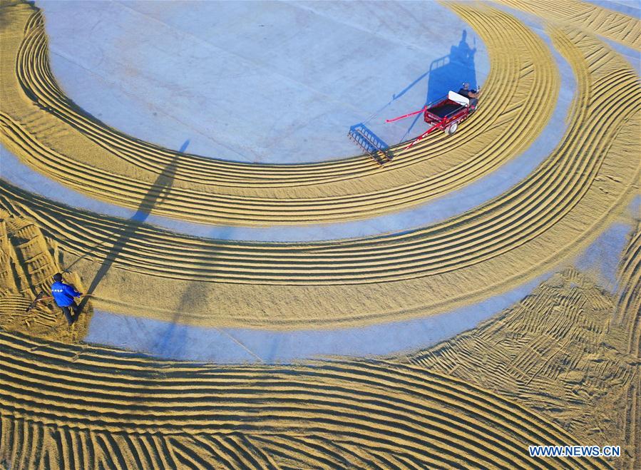 #CHINA-JIANGSU-FARM WORK (CN)