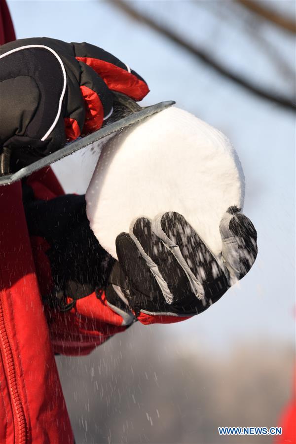 CHINA-HARBIN-SNOW SCULPTURE (CN)
