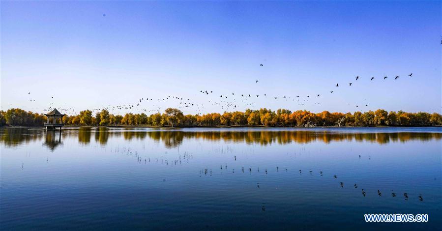 (年終報(bào)道)(4)2018年看大美中國