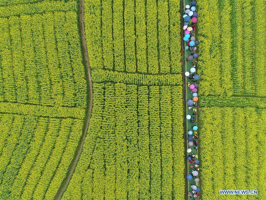 (年終報(bào)道)(19)2018年看大美中國