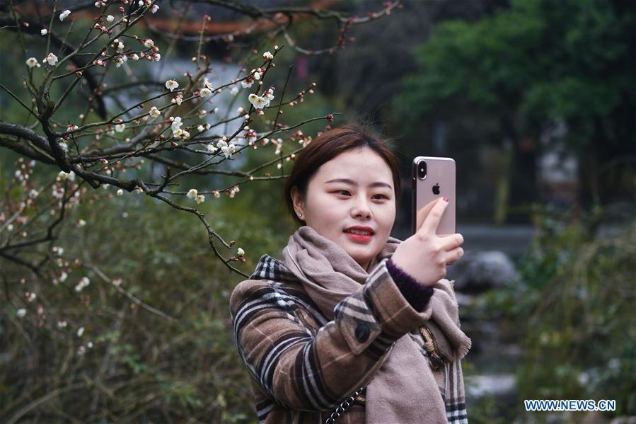 CHINA-ZHEJIANG-SPRING-PLUM BLOSSOM(CN)