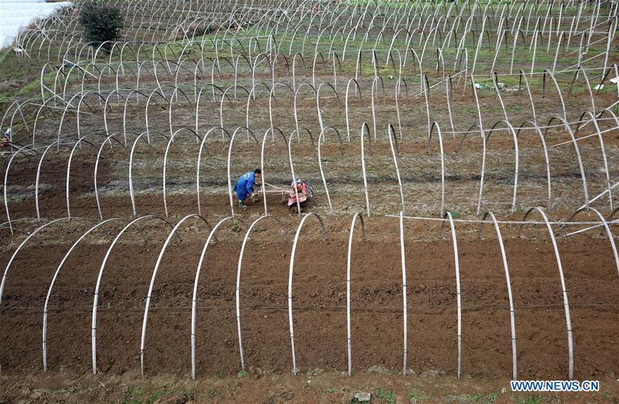#CHINA-JINGZHE-FARM WORK (CN)
