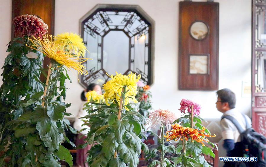 #CHINA-JIANGSU-SUZHOU-CHRYSANTHEMUM-EXHIBITION (CN)