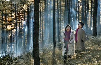 Forest coverage rate of Haodifang forest farm reaches 98 percent