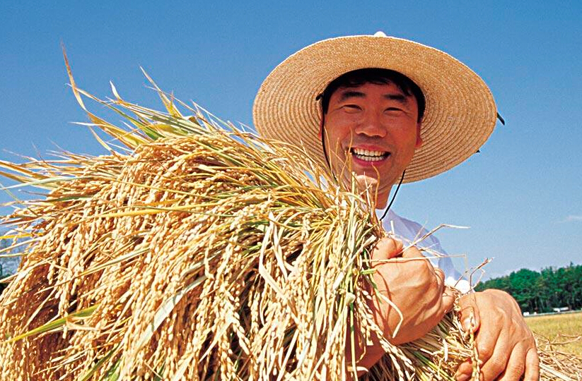 2015年中央一號(hào)文件發(fā)布 連續(xù)第12年聚焦&ldquo;三農(nóng)&rdquo;