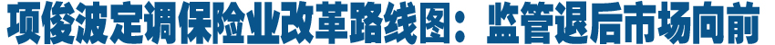 項(xiàng)俊波定調(diào)保險(xiǎn)業(yè)改革路線圖:監(jiān)管退后市場(chǎng)向前