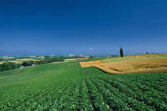 新聞背景:第二次全國土地調(diào)查