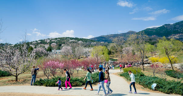 美到無法呼吸！&ldquo;西山晴雪&rdquo;攝影大賽來了