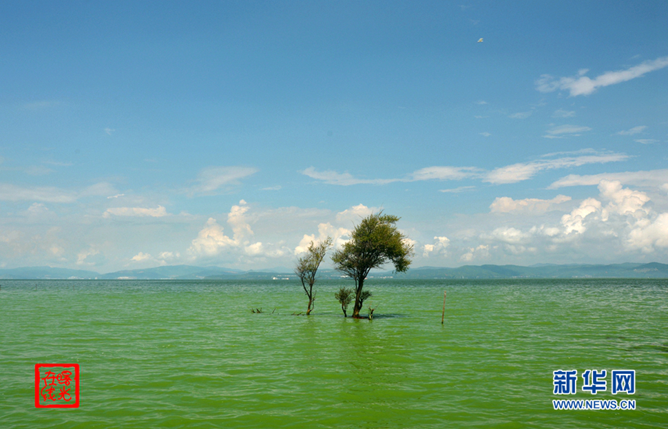 陽(yáng)光昆明，爽爽的春城