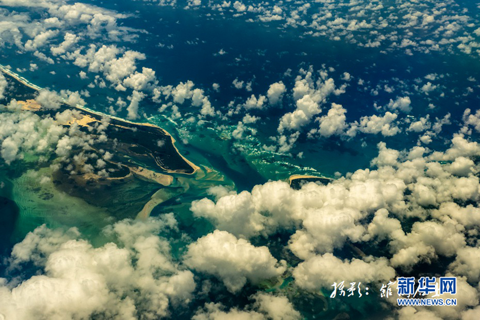 飛躍太平洋，跨越秋與春