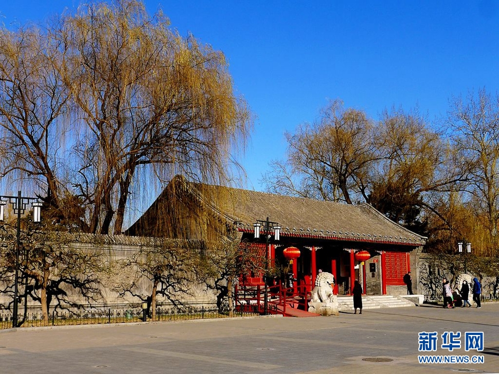 冬至，漫步大觀園