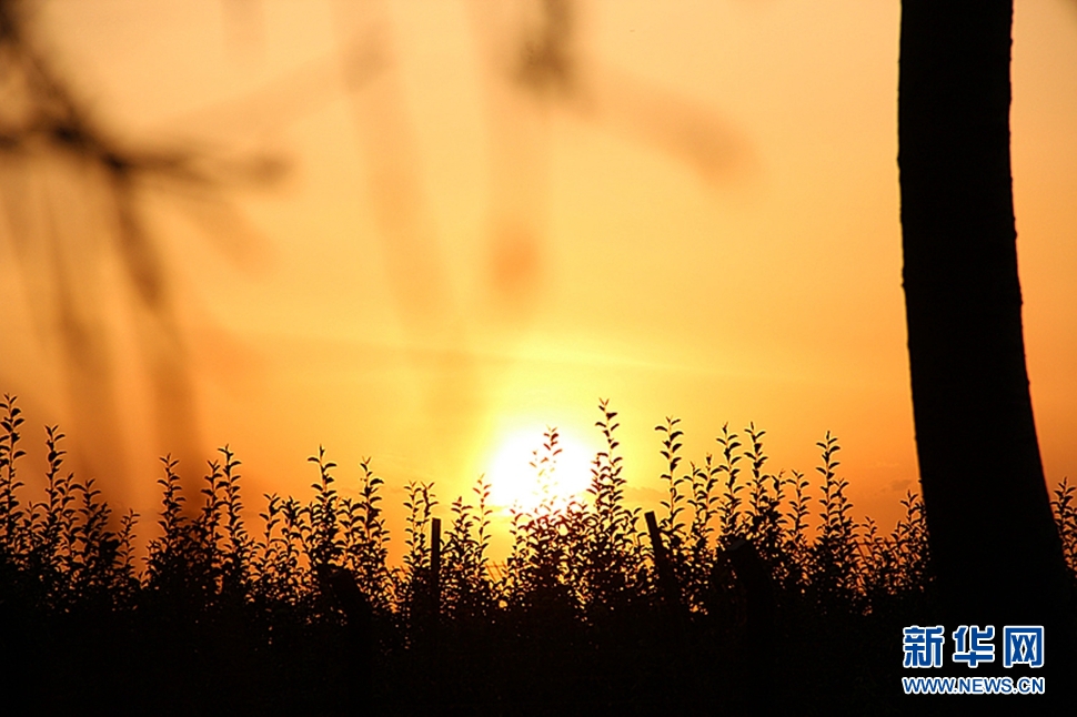 日落西山頭，人約黃昏后
