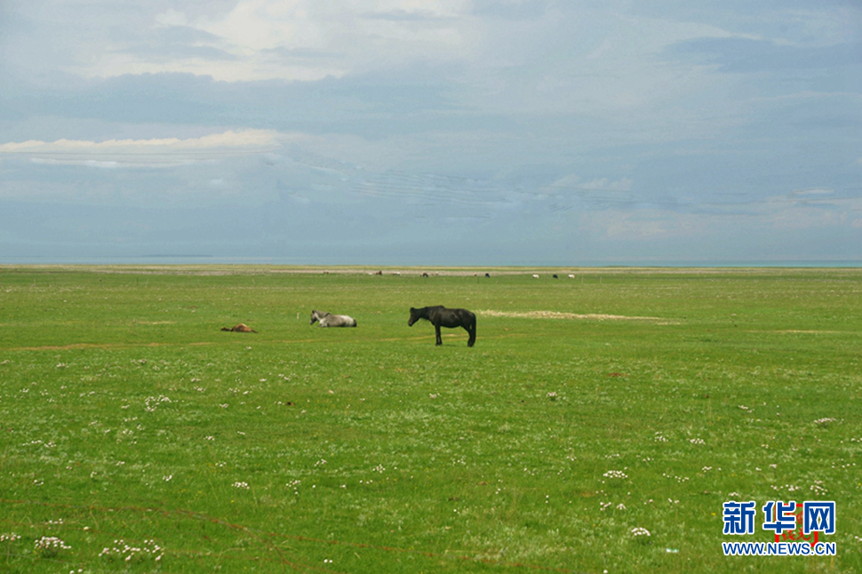 高原放歌之那山、那寺、那朵云