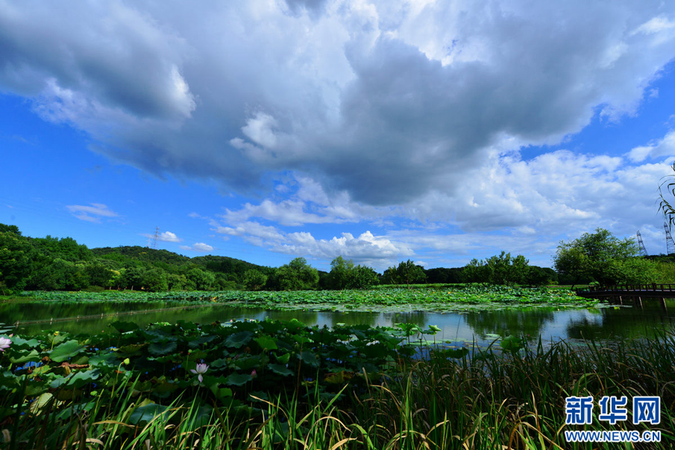 秋高氣爽，行攝八掛田