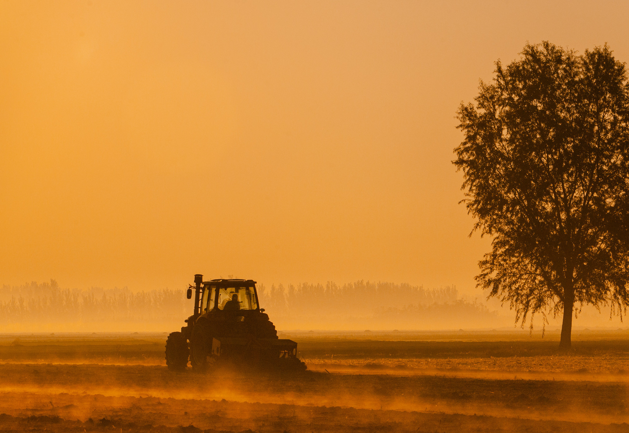 山東農(nóng)業(yè)信貸擔(dān)保公司繪就財(cái)金支農(nóng)惠農(nóng)“新畫(huà)卷”