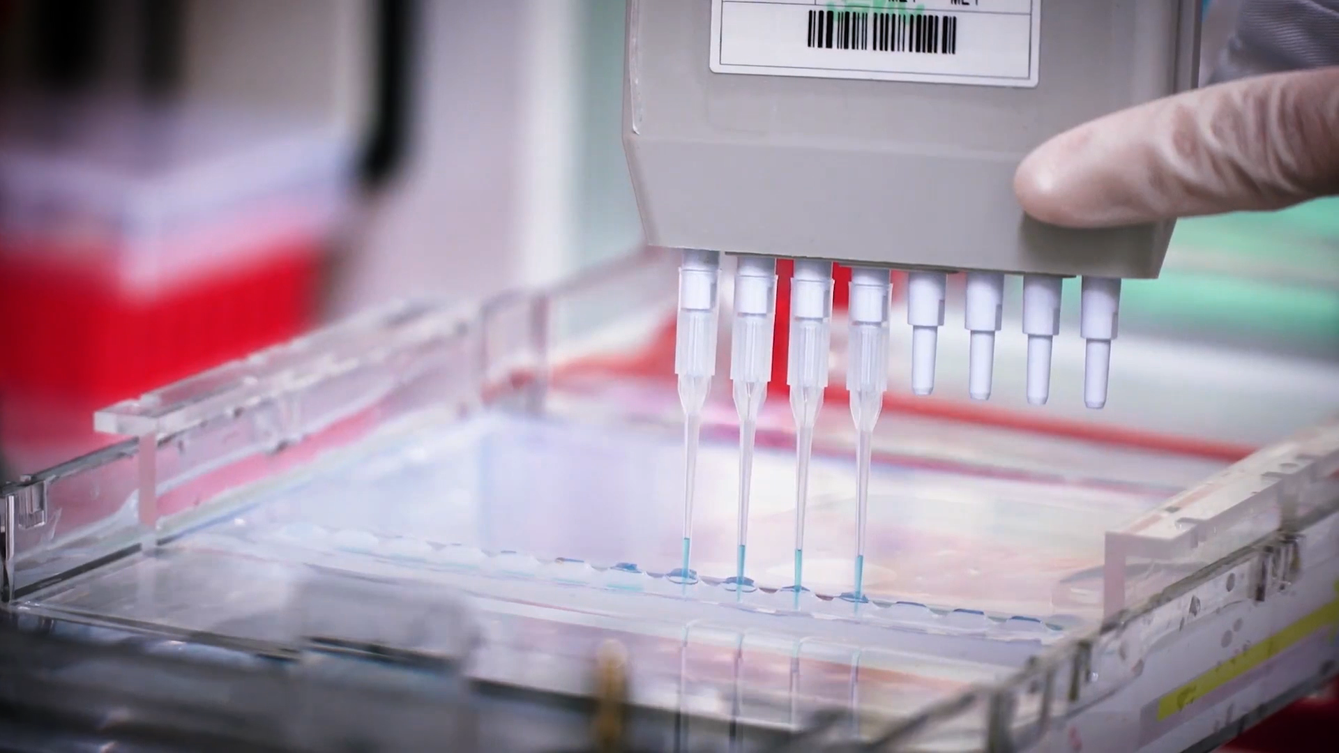 致敬偉大改革｜對(duì)話40年，講述身邊的健康故事32&mdash;打破醫(yī)學(xué)禁區(qū)，探尋生命奇跡