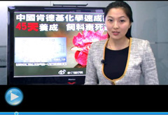 權(quán)威聲音：&ldquo;快時(shí)代&rdquo;究竟還有什么可以速成？