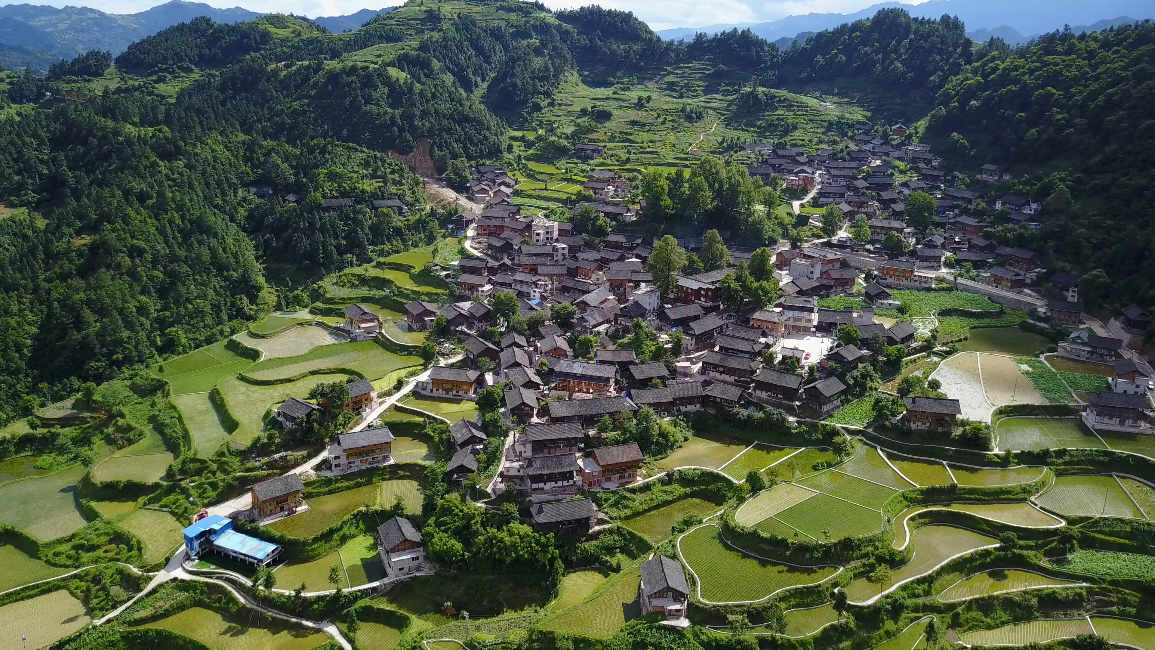 龍?zhí)链迓? /></div>
<div   id=