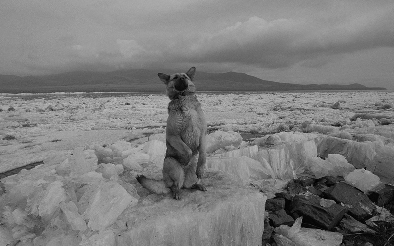 線云強作品:東方第一哨，最早迎接太陽的士兵