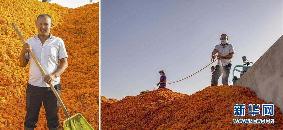 (脫貧攻堅(jiān)·圖片故事)(6)脫貧靠雙手——新疆和田地區(qū)未摘帽縣就業(yè)見聞