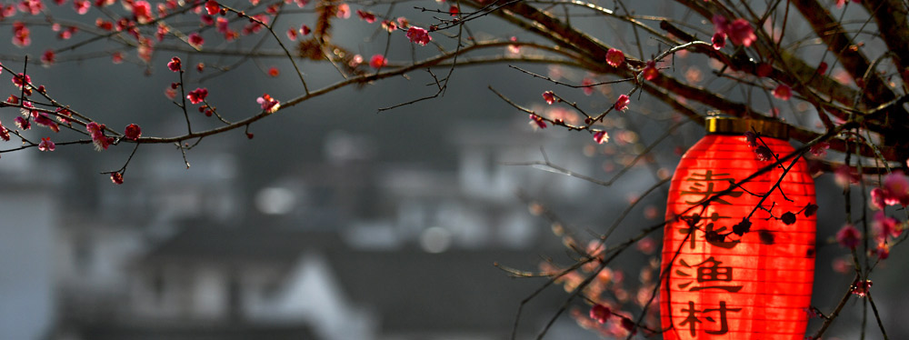 春來花開，綻放正當(dāng)時