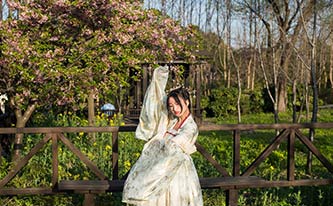 徜徉櫻花花海，來場動漫之旅