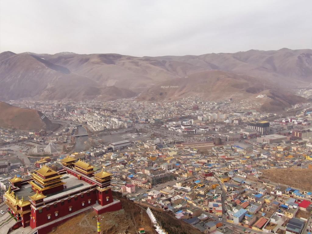 震后11年，玉樹正芳華