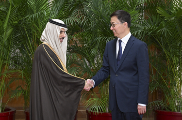 韓正集體會見阿拉伯、伊斯蘭國家外長聯(lián)合代表團(tuán)