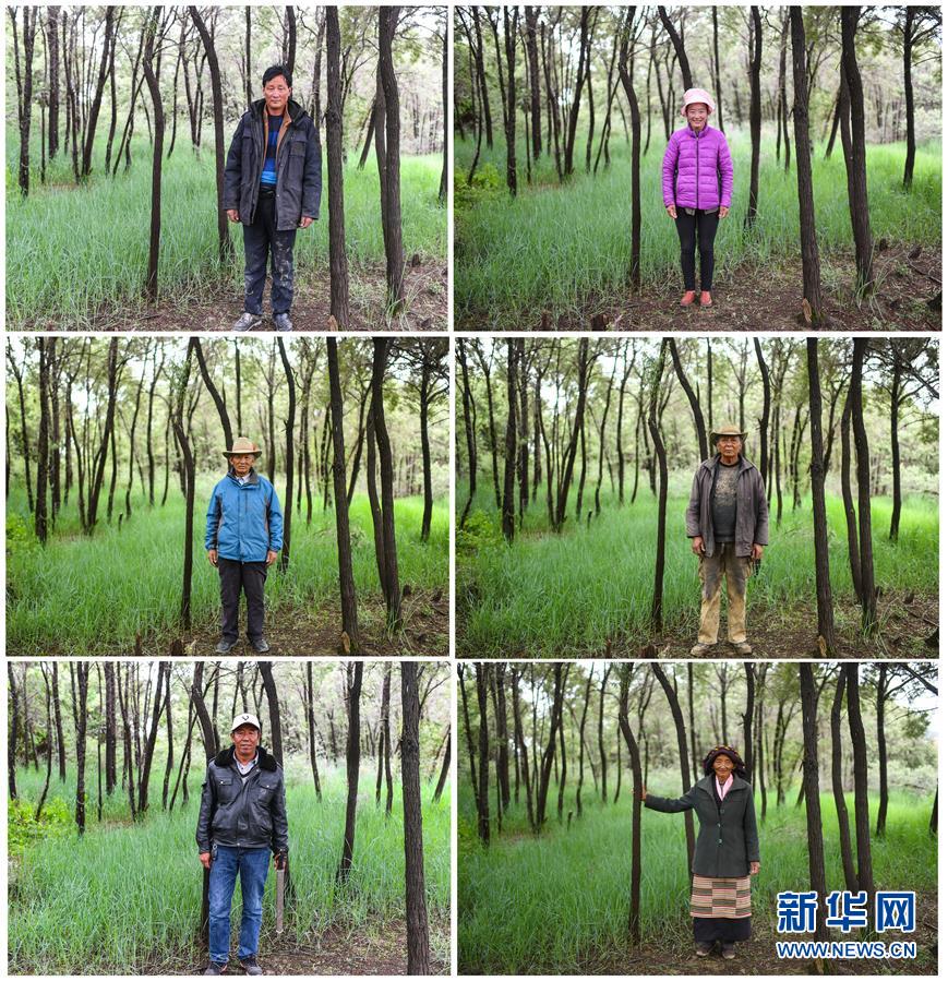 （十九大&middot;讀報(bào)告 話民生）（9）加快生態(tài)文明體制改革，建設(shè)美麗中國