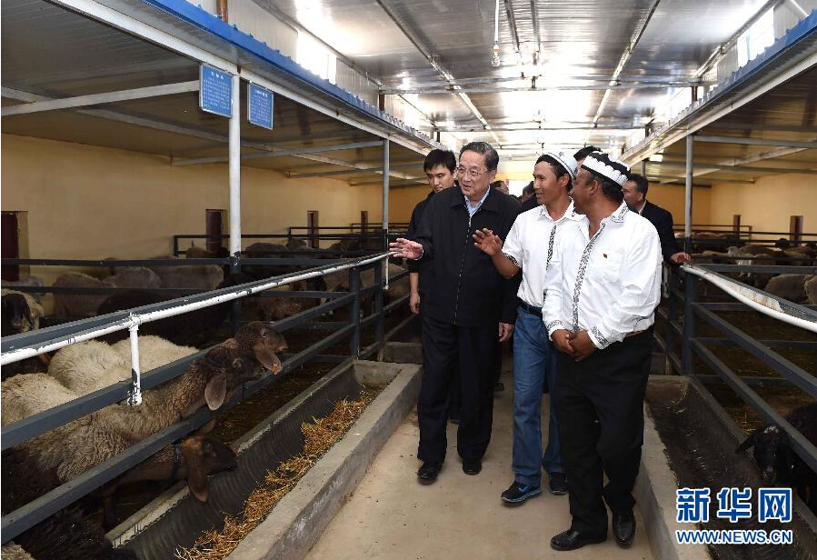 9月27日，中共中央政治局常委、全國政協(xié)主席、中央代表團團長俞正聲率中央代表團部分成員赴喀什地區(qū)莎車縣看望各族干部群眾。這是俞正聲在新疆生產(chǎn)建設(shè)兵團第三師莎車農(nóng)場實地察看萬只羊養(yǎng)殖基地。新華社記者 饒愛民 攝