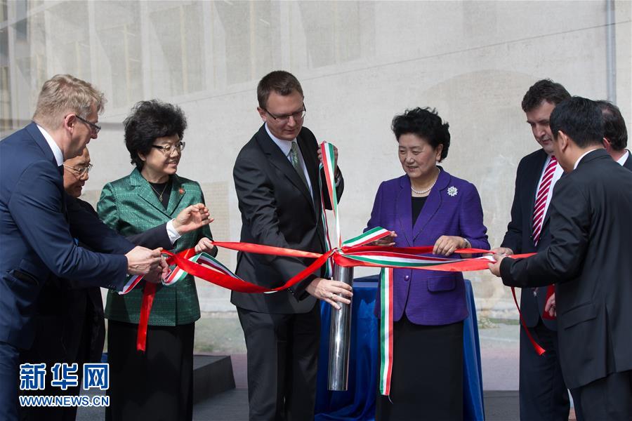 （XHDW）（1）劉延?xùn)|：推動中醫(yī)藥合作成為促進(jìn)中匈衛(wèi)生合作和人文交流的亮麗&ldquo;名片&rdquo;