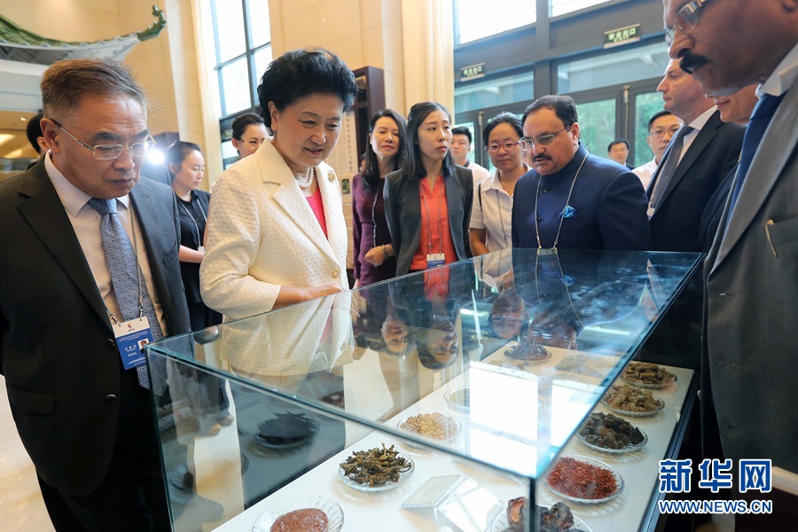 7月6日，金磚國家衛(wèi)生部長會暨傳統(tǒng)醫(yī)藥高級別會議在天津開幕。這是國務(wù)院副總理劉延?xùn)|與外賓一起參觀傳統(tǒng)醫(yī)藥文化展。 新華社記者 張玉薇 攝