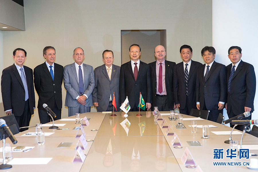 7月11日，在巴西首都巴西利亞，中共中央書記處書記、全國(guó)政協(xié)副主席杜青林（中）會(huì)見(jiàn)巴西民主運(yùn)動(dòng)黨總書記毛羅&middot;洛佩斯（左四）。新華社記者李明攝