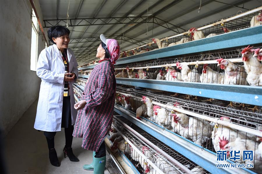 （十九大代表回基層&middot;圖文互動(dòng)）（1）擺脫貧困后，還應(yīng)有更高的精神追求&mdash;&mdash;十九大代表余留芬的&ldquo;宣講時(shí)光&rdquo;