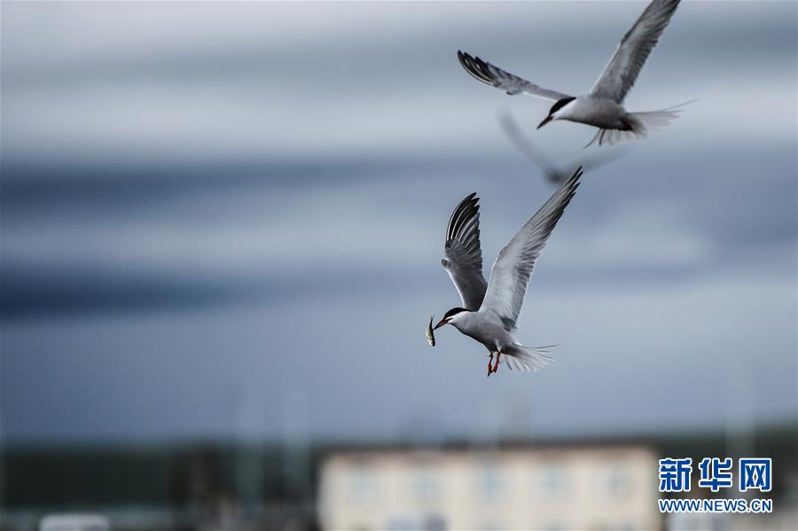 （圖文互動(dòng)）（10）奏響新時(shí)代偉大復(fù)興的壯麗樂章&mdash;&mdash;寫在&ldquo;中國(guó)夢(mèng)&rdquo;提出五周年之際
