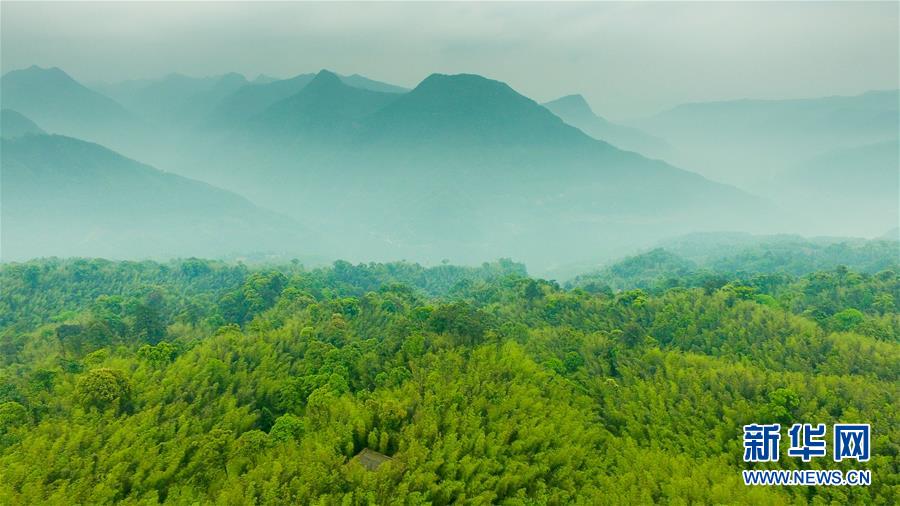 （新華全媒頭條&middot;圖文互動）（9）赤水：別了，貧困！