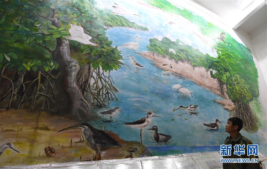 （圖文互動）（5）十年樹木、紅樹成林&mdash;&mdash;&ldquo;海上森林&rdquo;回歸記