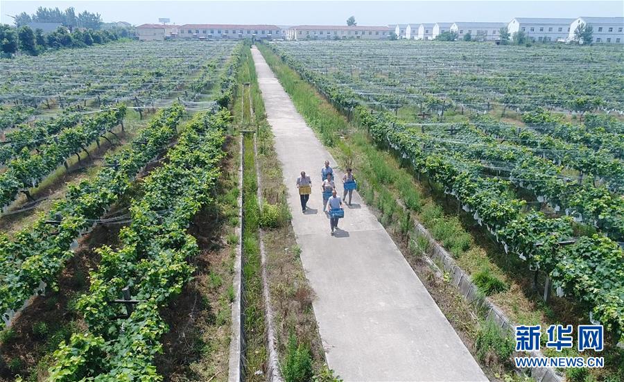 （新華全媒頭條&middot;紀(jì)念改革開放40年特稿&middot;圖文互動）（5）向著新航程揚帆奮進(jìn)！&mdash;&mdash;從小崗精神看中國改革開放40年