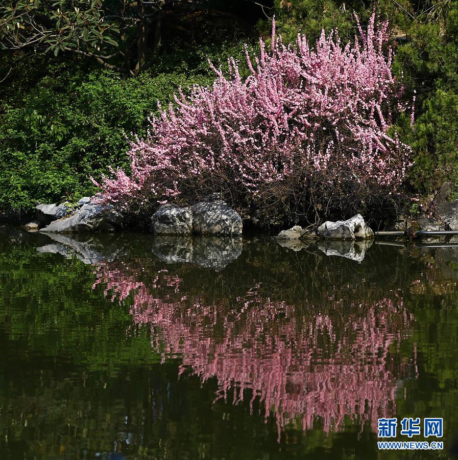 #（視&middot;覺(jué)）&ldquo;心&rdquo;花怒放