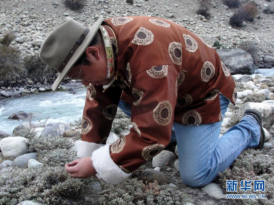 （新華全媒頭條&middot;圖文互動）（2）一顆種子的答案&mdash;&mdash;雪域高原播種者鐘揚的&ldquo;精神珠峰&rdquo;