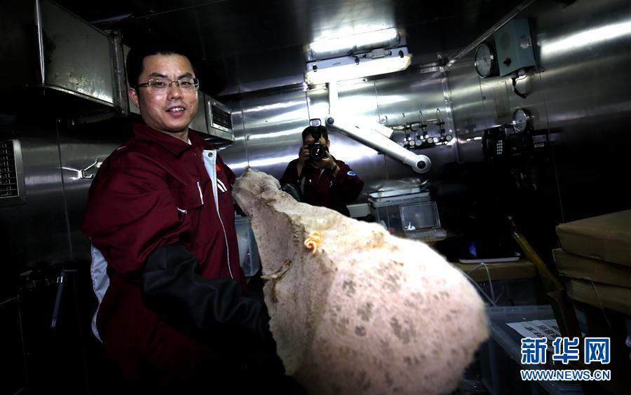 (圖文互動)(6)“科學(xué)”號在麥哲倫海山展開綜合調(diào)查