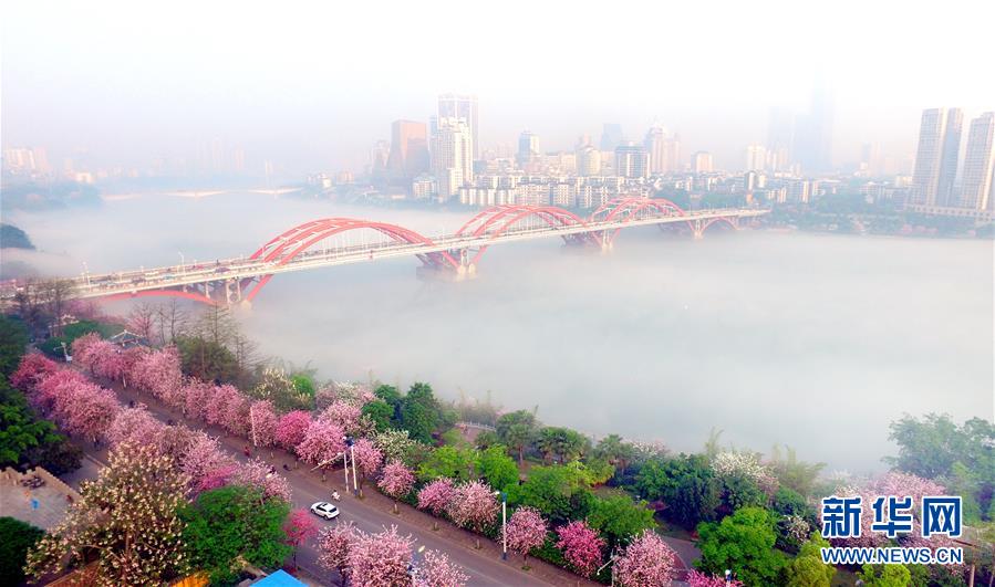 （鏡觀中國(guó)&middot;新華網(wǎng)）（7）新華社國(guó)內(nèi)照片一周精選