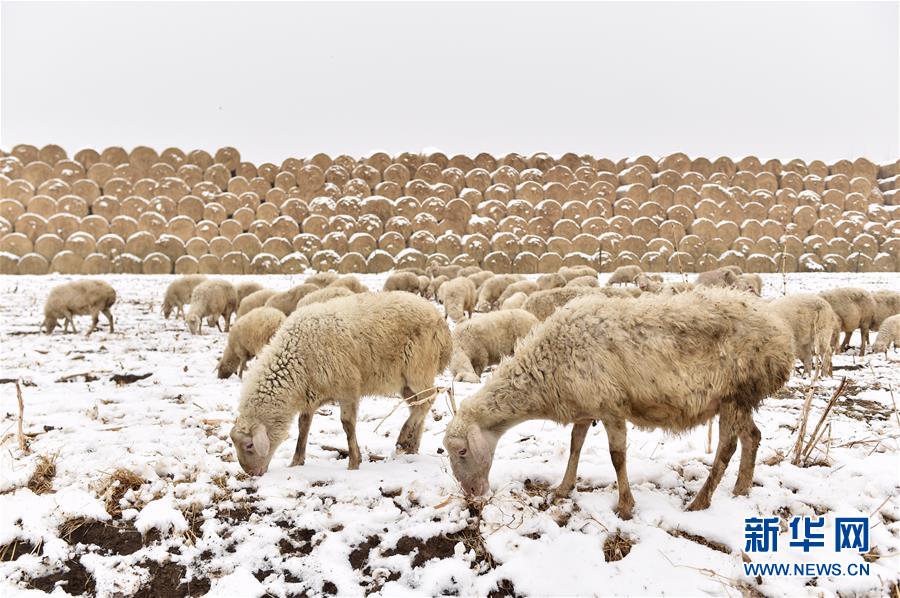 （鏡觀(guān)中國(guó)&middot;新華網(wǎng)）（11）新華社國(guó)內(nèi)照片一周精選