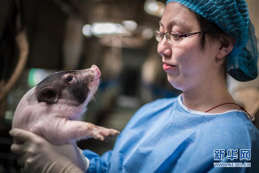 (鏡觀中國(guó)·新華網(wǎng))(13)新華社國(guó)內(nèi)照片一周精選