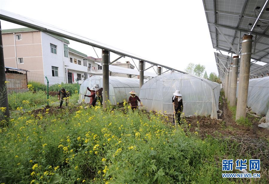 (圖文互動)(2)第一書記李傳璽的駐村生活